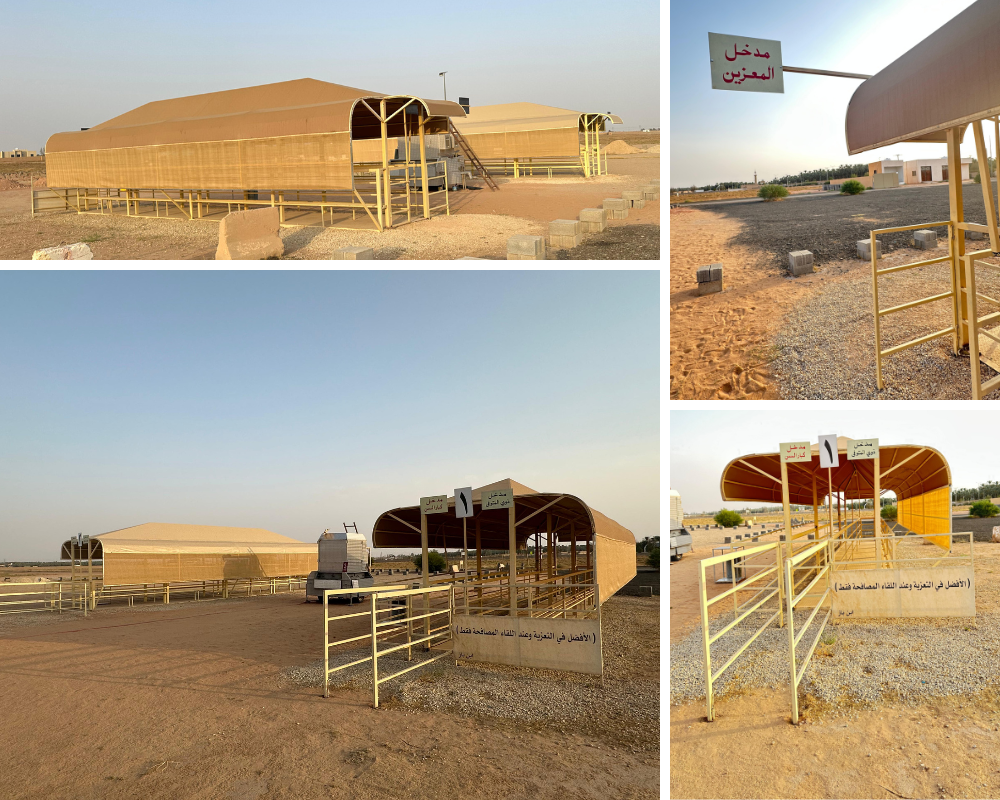 توحيد مظلات المقبرة وتنظيم الدخول والخروج